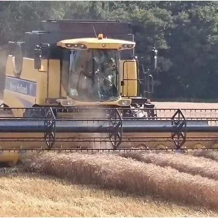 펜션 Siems Modern Retreat 다메