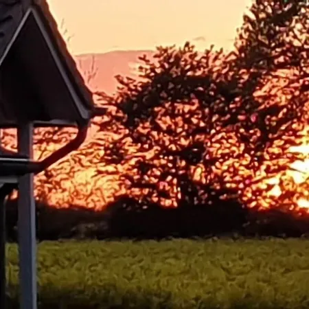 Siems Modern Retreat