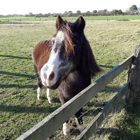 Siems Modern Retreat *