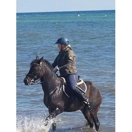 펜션 Siems Modern Retreat 다메