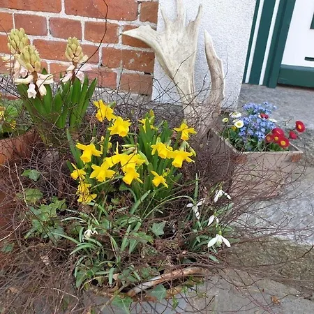 Siems Modern Retreat 펜션